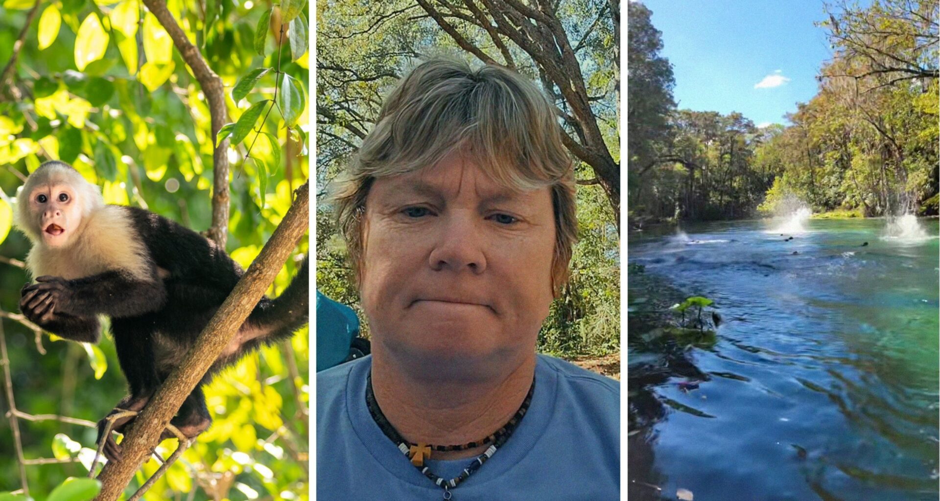 monkey on tree (l) woman shares park experience (c) florida state park (r)