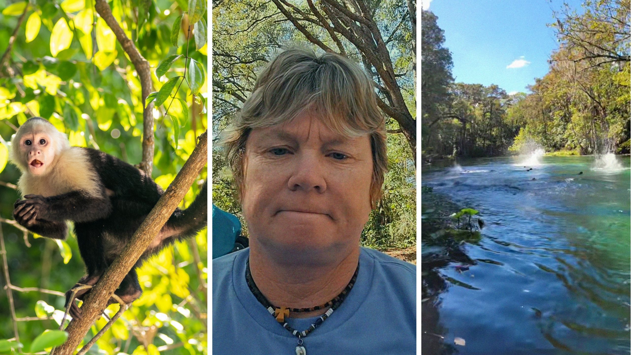 monkey on tree (l) woman shares park experience (c) florida state park (r)