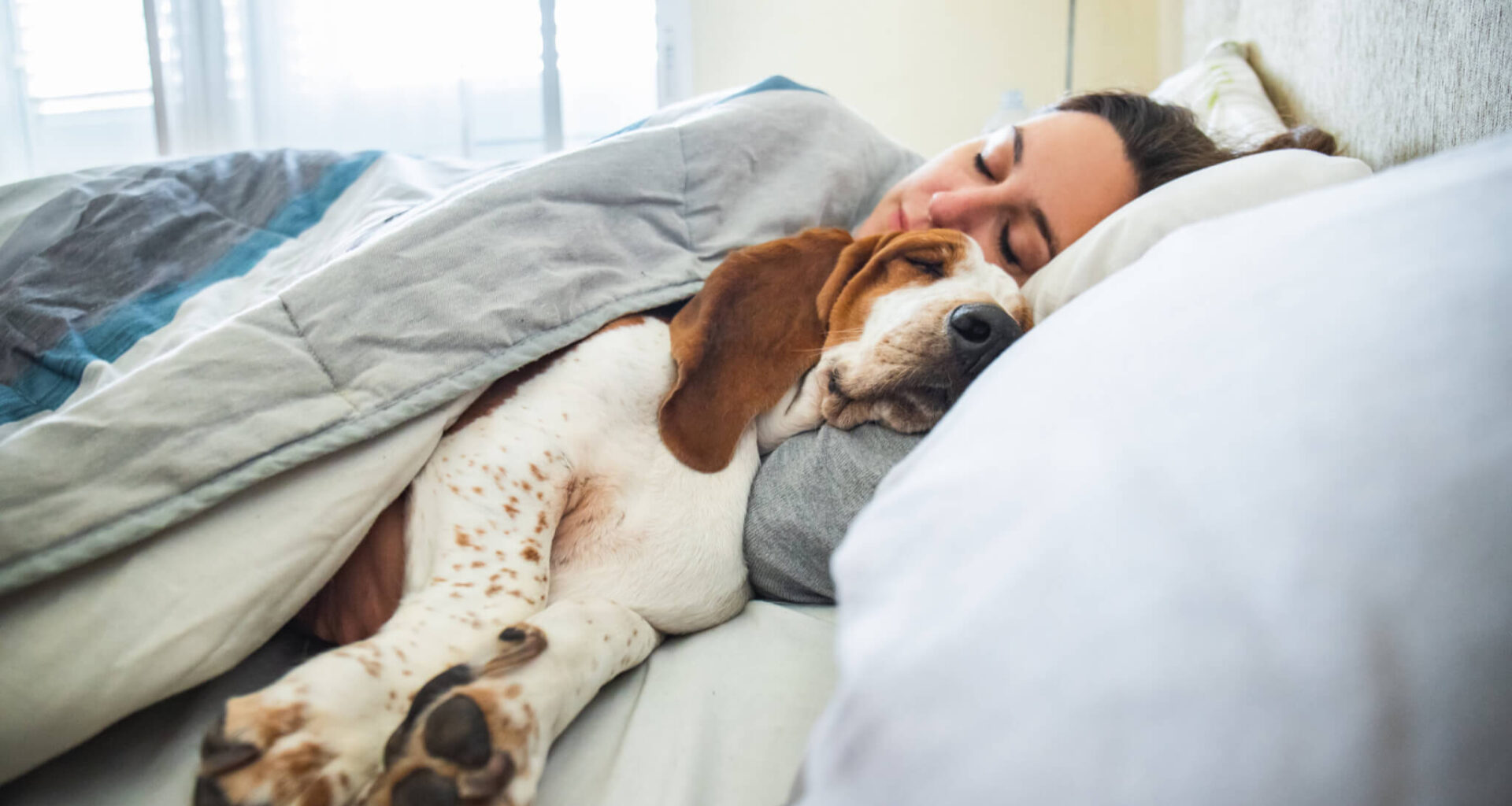 World's Largest Dream Database Could Unlock Mysteries Of The Sleeping Brain