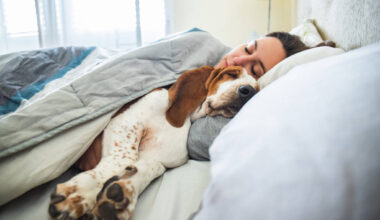 World's Largest Dream Database Could Unlock Mysteries Of The Sleeping Brain