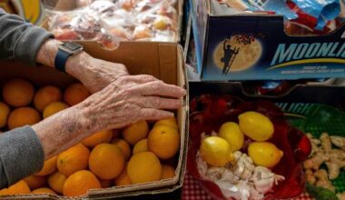 Where to find food pantries across Bexar County, surrounding areas