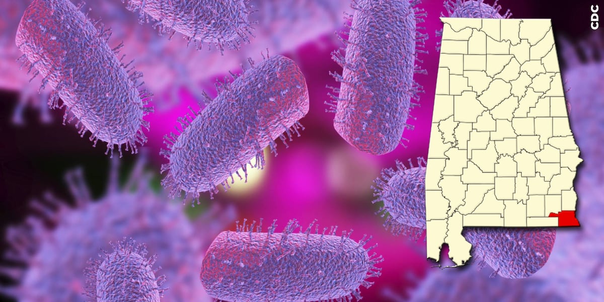 Second case of rabies confirmed in Houston County