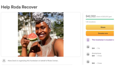 Houston’s viral ‘Brick Lady’ found guilty in $42K GoFundMe theft scheme