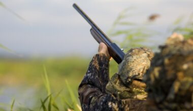 Drought dries up premier waterfowl hunting destination in mid-Michigan