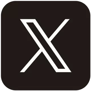 X icon