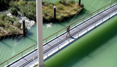 Can Inner Harbor makeover prevent another stinky pistachio tide?