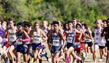 See how Dallas-area teams, individuals performed