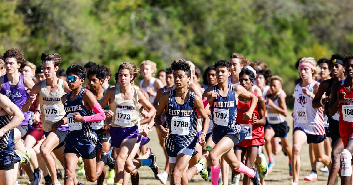 See how Dallas-area teams, individuals performed