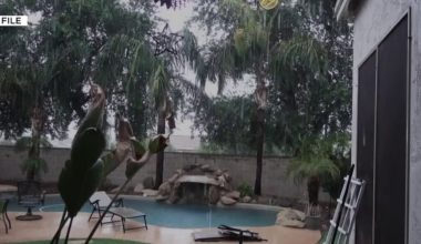 Where the 2025 Phoenix ranks in the last decade