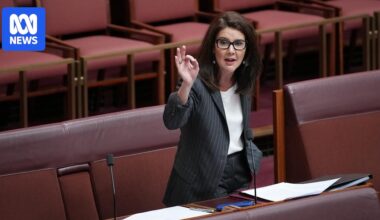 Senators claim Labor is threatening punishment after chamber stunt on transparency