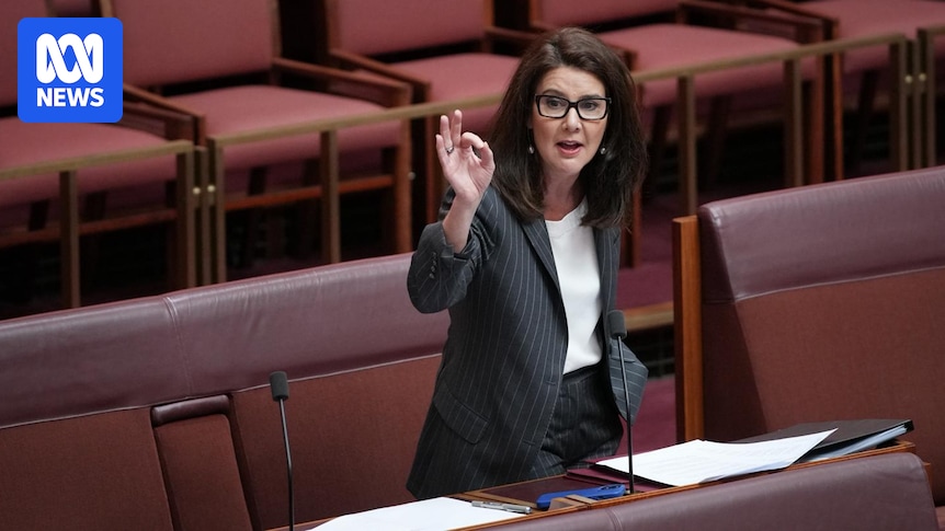 Senators claim Labor is threatening punishment after chamber stunt on transparency