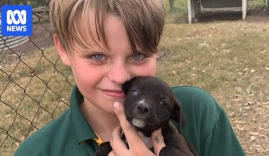 Coroner finds snakebite death of 11yo Tristian Frahm preventable