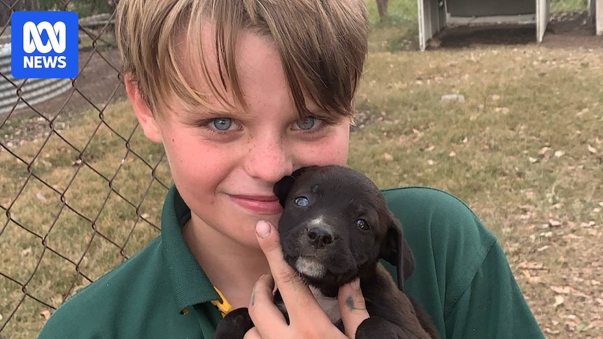 Coroner finds snakebite death of 11yo Tristian Frahm preventable