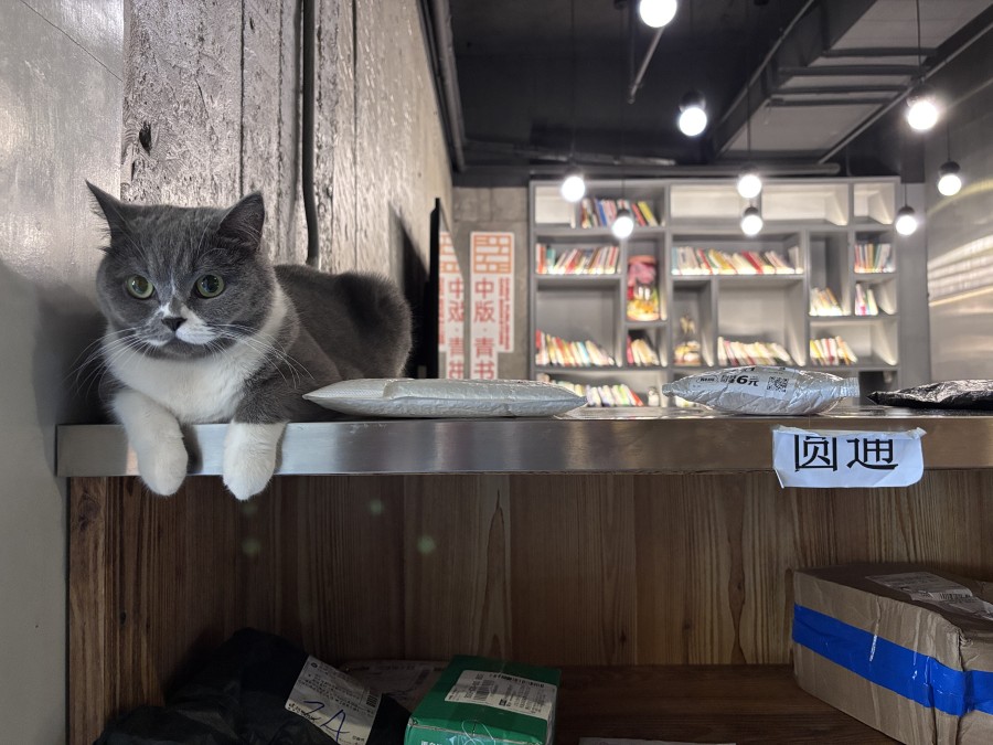 Today’s young Chinese who live in hostels while job hunting often find themselves in entirely unfamiliar cities.