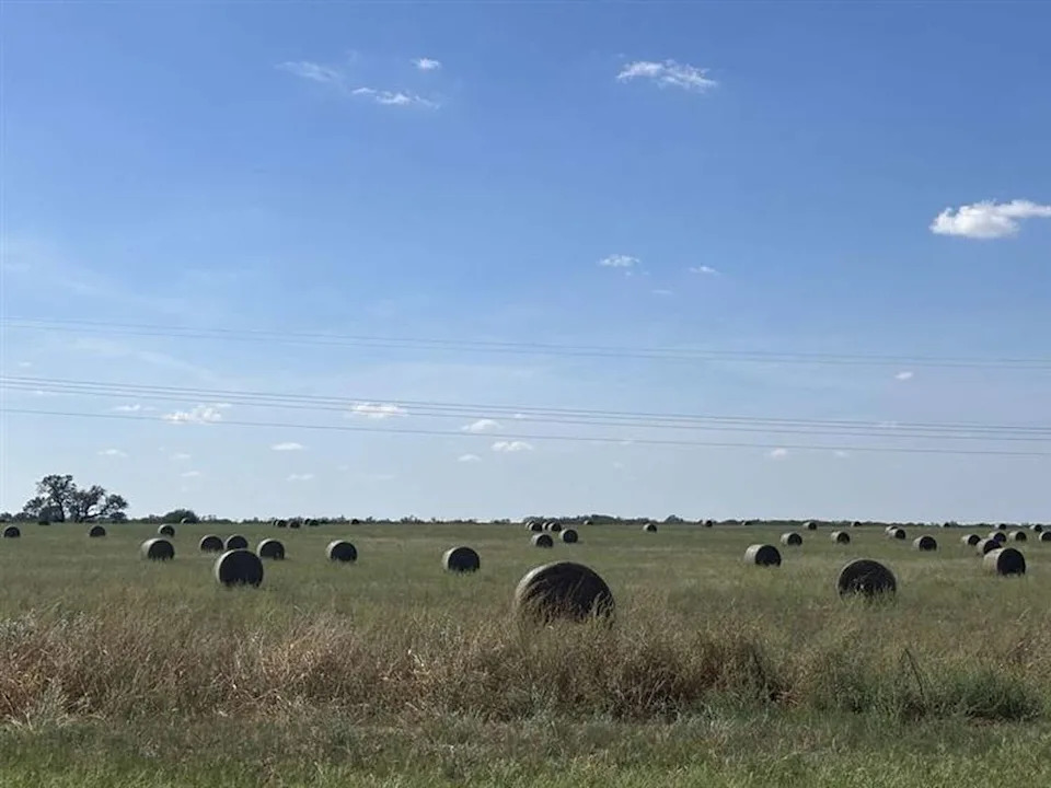 Bigfoot, Texas, is a rural outpost in South Texas. The unincorporated community is part of a broader production belt of farmers and ranchers. (Mia Valdez/MySA)