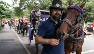 Polls show horses are caught in the middle as carriage industry debate carries on in NYC