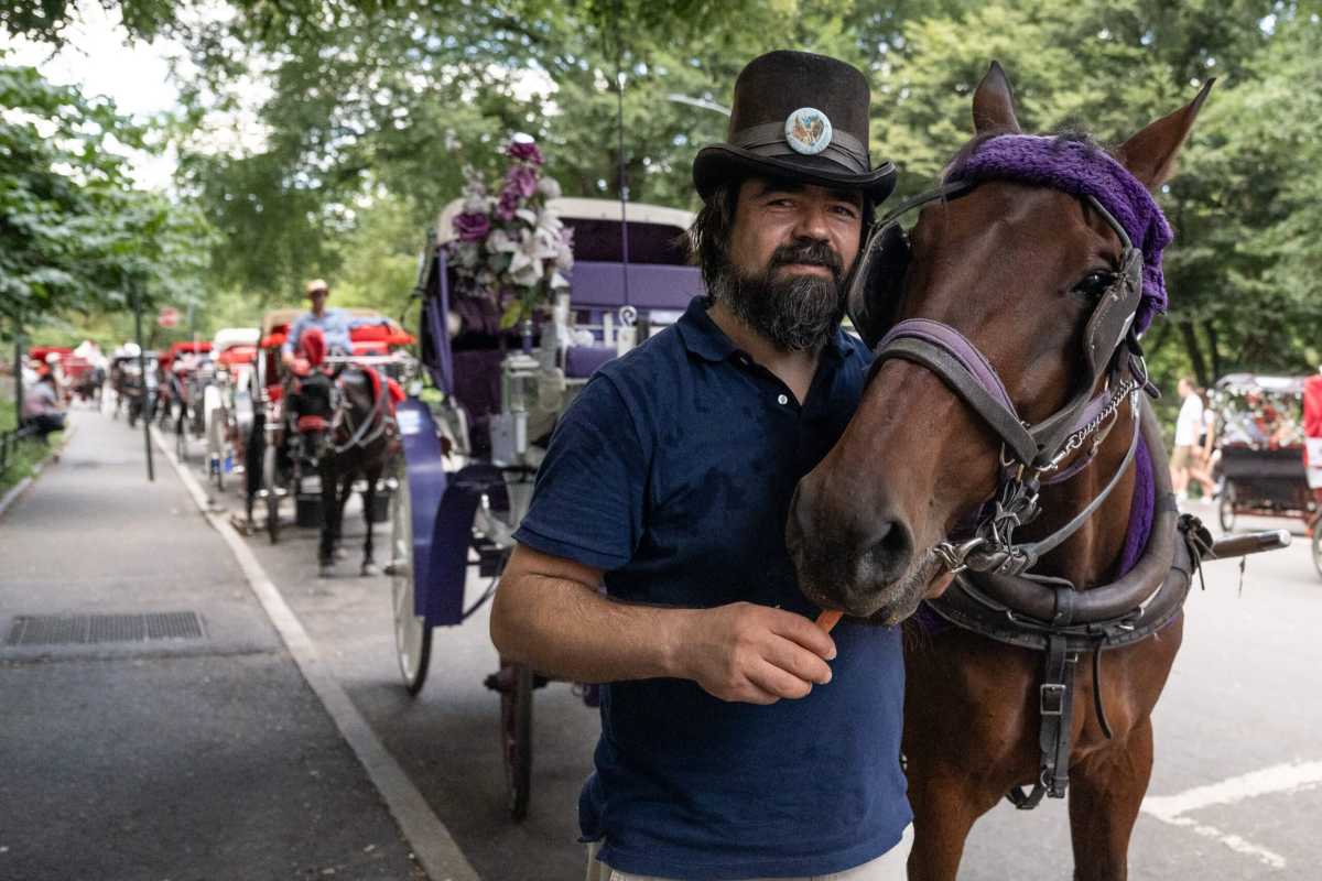 Polls show horses are caught in the middle as carriage industry debate carries on in NYC