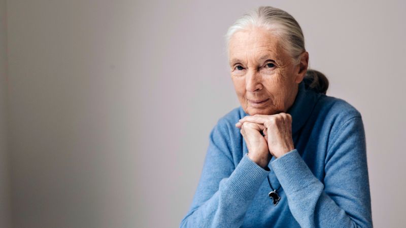 Dr. Jane Goodall, whose work revolutionized the study of primates, has died