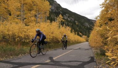 Fall foliage colors muted in several regions due to drought