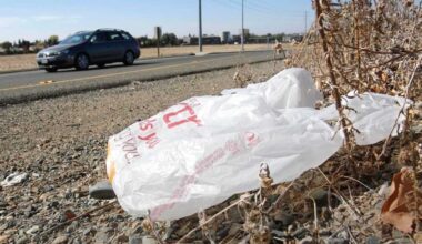 CA lawsuit says makers of plastic bags lied about them being recyclable