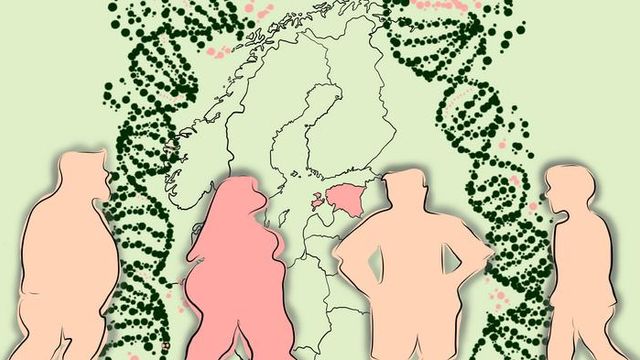 Estonian Genes Linked to Obesity Risk and Appetite