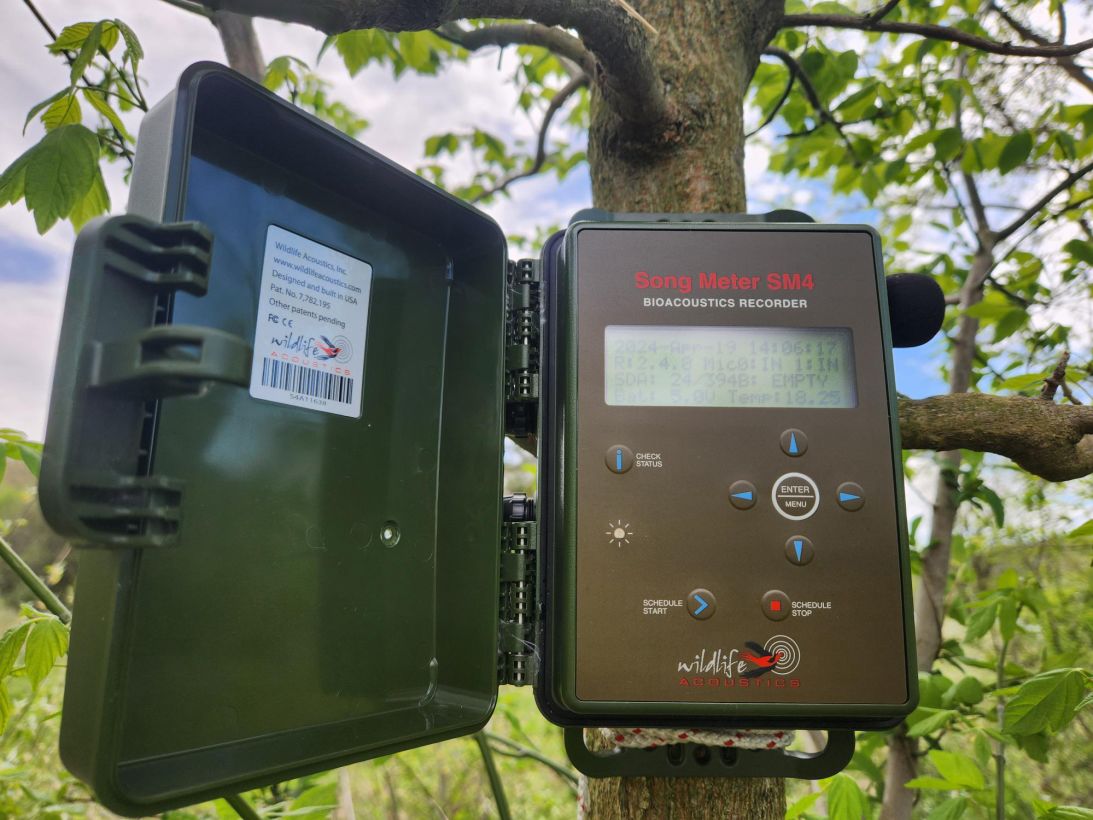 Autonomous recorders capture birdsong across southern Indiana during the eclipe.