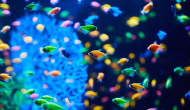 Would you ever own a pet that is genetically engineered?