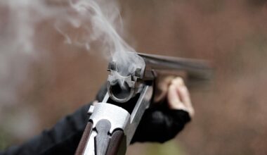 New York State Man Arrested For Allegedly Shooting at Home