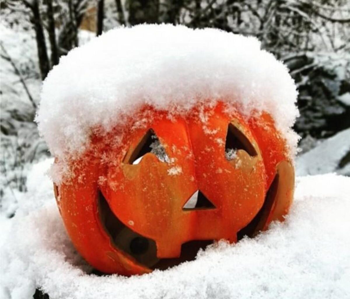 The Exact Dates Snow Is Set To Paralyze New York