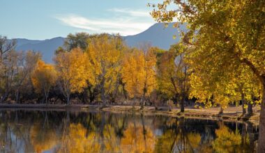 fall colors Arizona 2025 best parks to see season change...