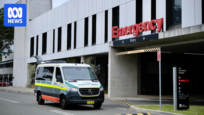 Woman charged with vandalism after gas services cut at Sutherland hospitals in Sydney