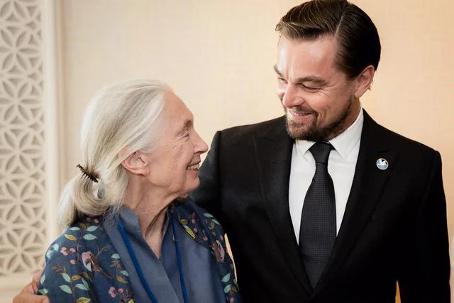 Giles Clarke/Getty Jane Goodall and Leonardo DiCaprio