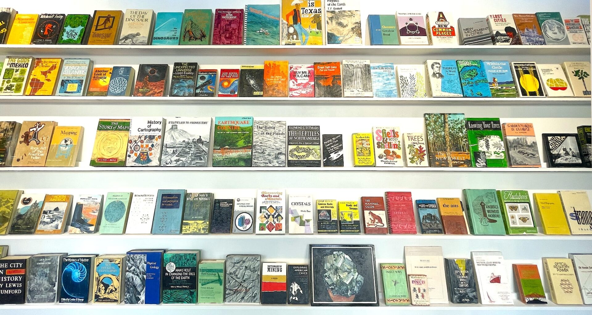 a collection of wooden and painted book sculptures by Conrad Bakker face out on a wall