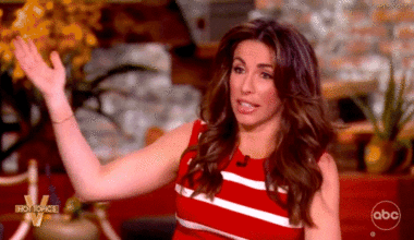 'The View' co-hosts argue over Democratic, GOP tactics in government shutdown