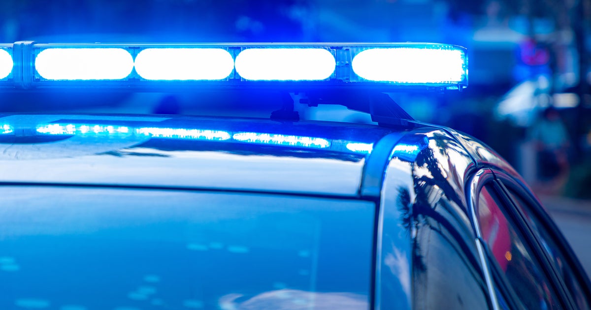 String of burglaries in Bronzeville prompts Chicago police warning