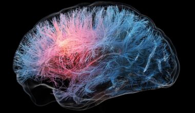 These Two Existing Drugs May Boost Brain Health, Scientists Say : ScienceAlert