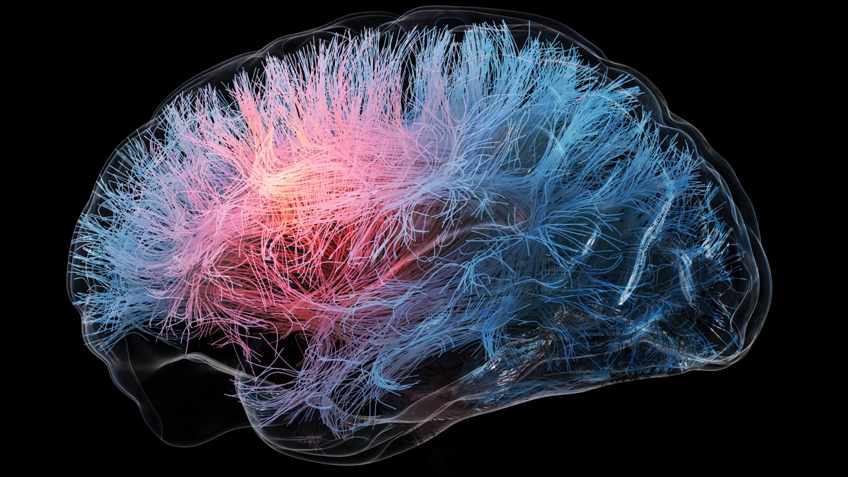 These Two Existing Drugs May Boost Brain Health, Scientists Say : ScienceAlert