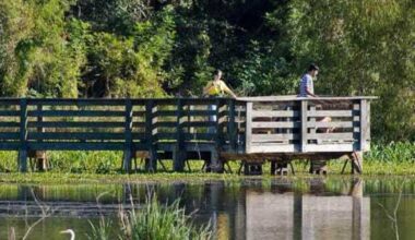 All Texas state parks will have free admission on November 2