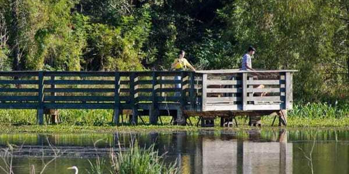 All Texas state parks will have free admission on November 2