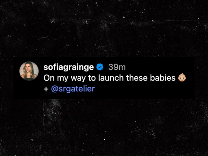 sofia richie pregnant instagram