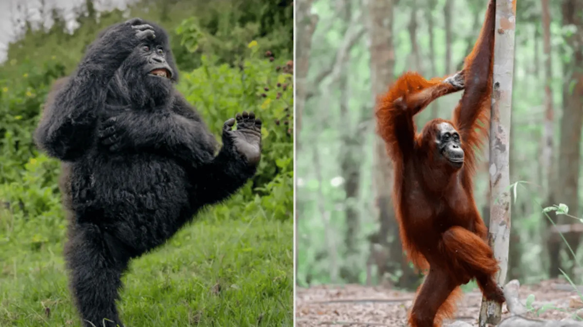 Yahoo entertainment home