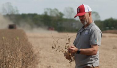 Soybean farmer who backed Trump feels strain of China's boycott amid trade war