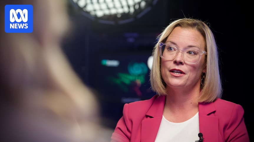 Minister flags compulsory voting in local government elections, 4-year terms amid low voter turnout