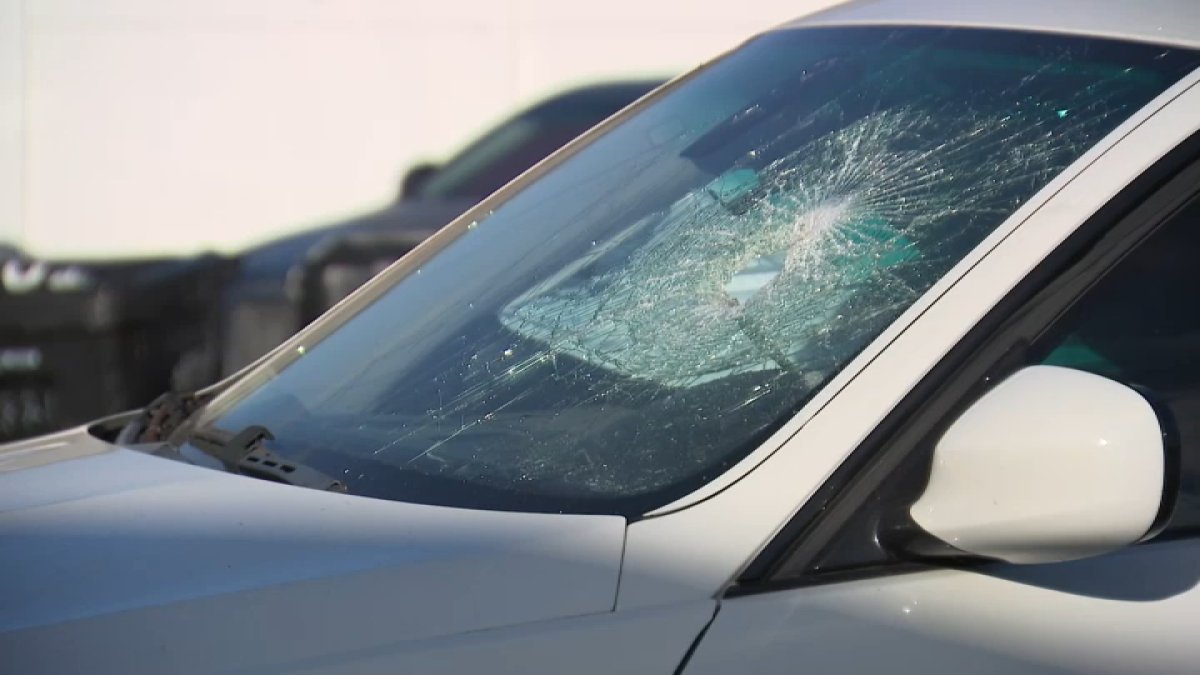 Man suspected of vandalizing car windows in City Heights arrested – NBC 7 San Diego