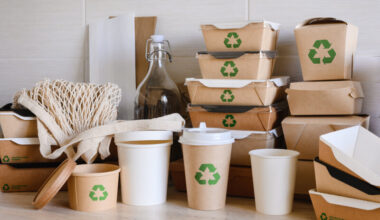 Alu-Alu Packaging Market | Global Market Analysis Report