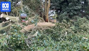 Parts of NSW and Victoria 'absolutely battered' by howling winds, storm damage in Greater Sydney