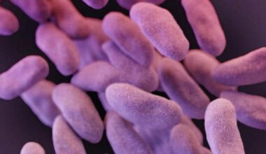 Drug-resistant superbugs' spread surging, World Health Organization warns