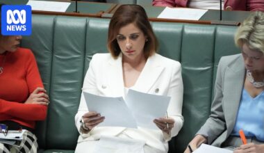 Anika Wells points to surprise stress test of triple-0 network ahead of bushfire season