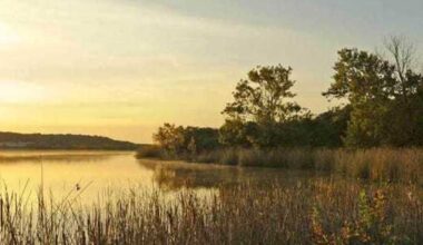 Texas state parks to offer free entry one day in November