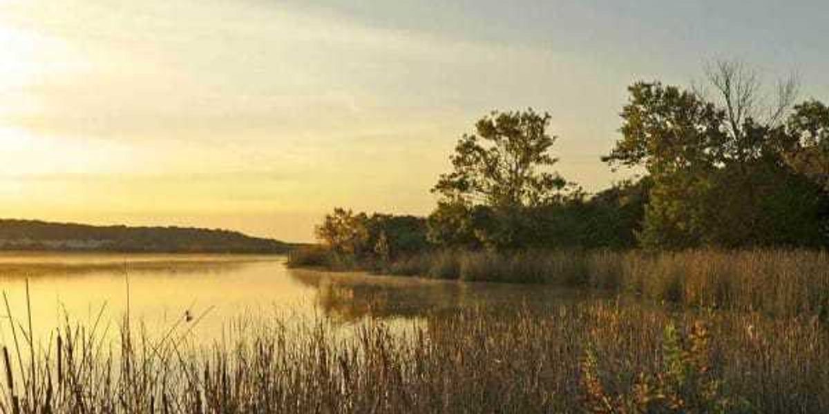 Texas state parks to offer free entry one day in November